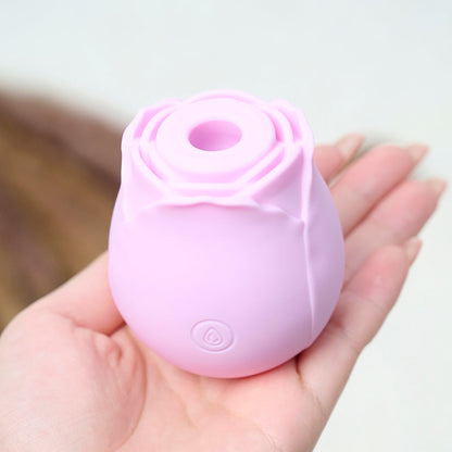 RTS-Silicone Rose Toy-Pink